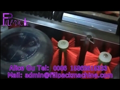 Semi-automatische ontdeksel- en vatwasmachine met dubbele wasplaats