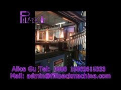 Vijf gallon automatische flesblaasmachine