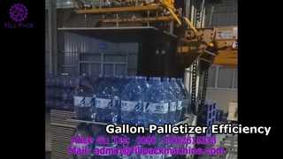 2161 V10 Cantilever-palletiseermachine met verticale kolom